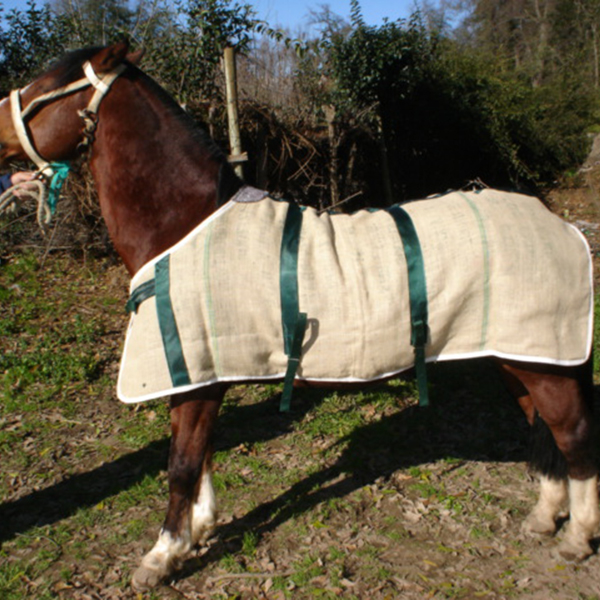 CARPA PARA CABALLO