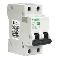 AUTOMATICO SCHNEIDER 2 POLOS 2X25A