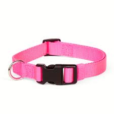 COLLAR PERRO GRANDE